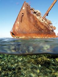 Over / under taken of the Maria Schroeder wreck in Nabq p... by Nikki Van Veelen 